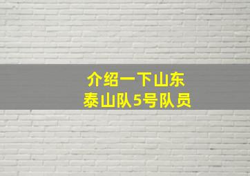 介绍一下山东泰山队5号队员