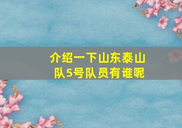 介绍一下山东泰山队5号队员有谁呢