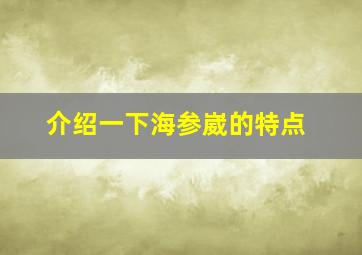 介绍一下海参崴的特点