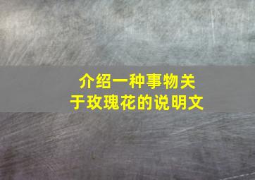 介绍一种事物关于玫瑰花的说明文