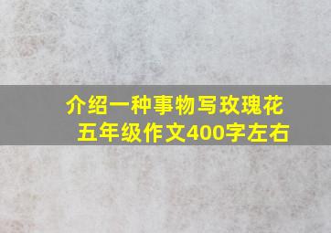 介绍一种事物写玫瑰花五年级作文400字左右