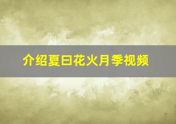 介绍夏曰花火月季视频