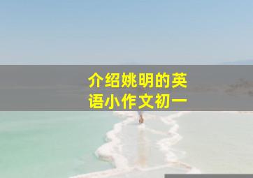 介绍姚明的英语小作文初一