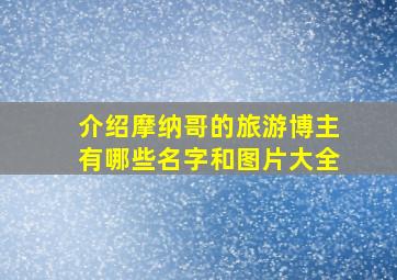 介绍摩纳哥的旅游博主有哪些名字和图片大全