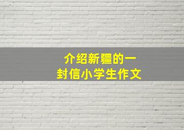 介绍新疆的一封信小学生作文