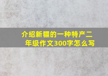 介绍新疆的一种特产二年级作文300字怎么写