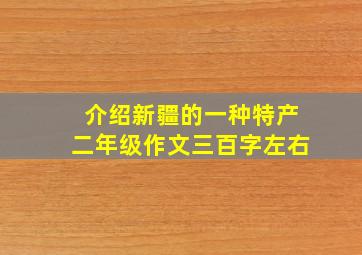 介绍新疆的一种特产二年级作文三百字左右