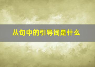 从句中的引导词是什么