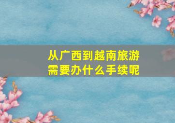 从广西到越南旅游需要办什么手续呢