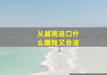 从越南进口什么赚钱又合法