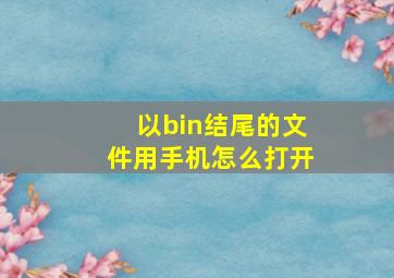 以bin结尾的文件用手机怎么打开