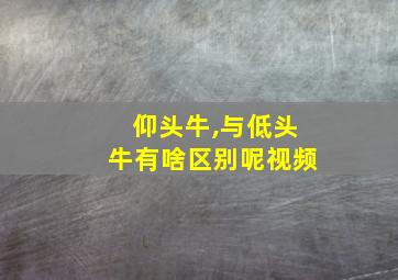 仰头牛,与低头牛有啥区别呢视频