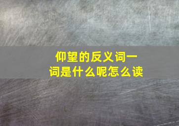 仰望的反义词一词是什么呢怎么读