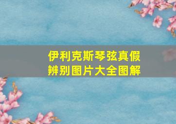 伊利克斯琴弦真假辨别图片大全图解