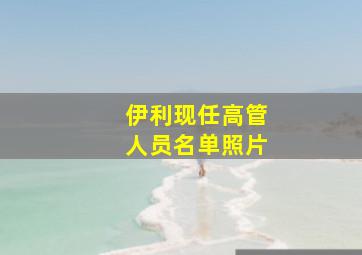 伊利现任高管人员名单照片