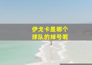 伊戈卡是哪个球队的绰号呢