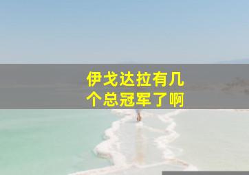 伊戈达拉有几个总冠军了啊