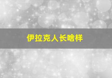 伊拉克人长啥样