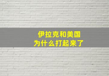 伊拉克和美国为什么打起来了