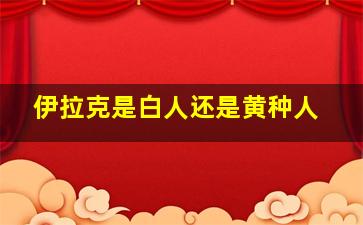 伊拉克是白人还是黄种人