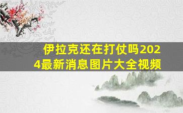 伊拉克还在打仗吗2024最新消息图片大全视频