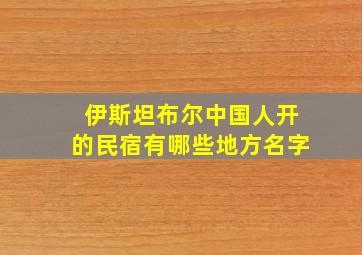 伊斯坦布尔中国人开的民宿有哪些地方名字