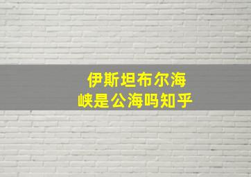 伊斯坦布尔海峡是公海吗知乎