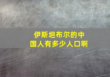 伊斯坦布尔的中国人有多少人口啊