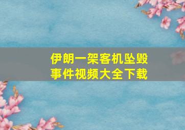 伊朗一架客机坠毁事件视频大全下载