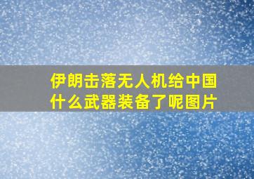 伊朗击落无人机给中国什么武器装备了呢图片