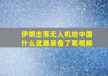 伊朗击落无人机给中国什么武器装备了呢视频