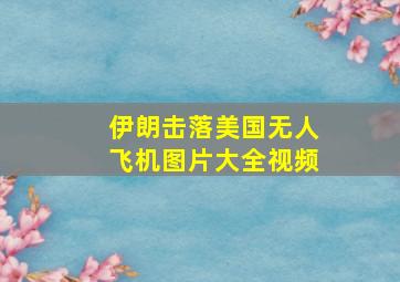 伊朗击落美国无人飞机图片大全视频