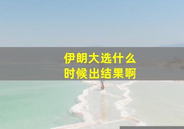 伊朗大选什么时候出结果啊