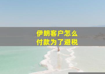 伊朗客户怎么付款为了避税