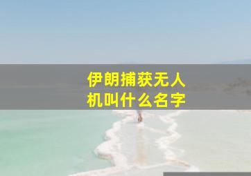 伊朗捕获无人机叫什么名字