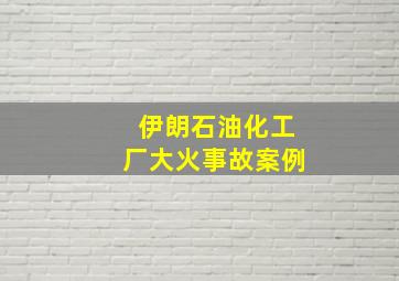 伊朗石油化工厂大火事故案例