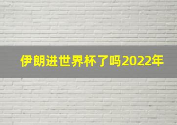 伊朗进世界杯了吗2022年