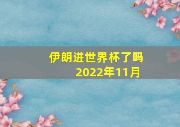 伊朗进世界杯了吗2022年11月