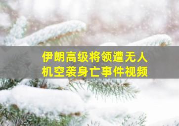 伊朗高级将领遭无人机空袭身亡事件视频