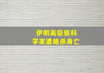 伊朗高级核科学家遭暗杀身亡