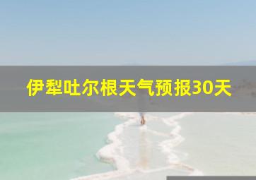 伊犁吐尔根天气预报30天