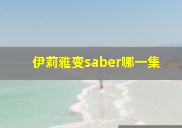 伊莉雅变saber哪一集