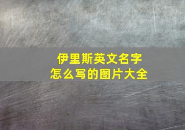 伊里斯英文名字怎么写的图片大全