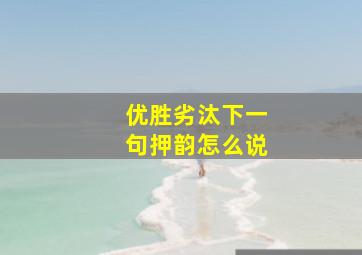 优胜劣汰下一句押韵怎么说