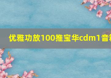 优雅功放100推宝华cdm1音箱