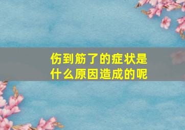 伤到筋了的症状是什么原因造成的呢