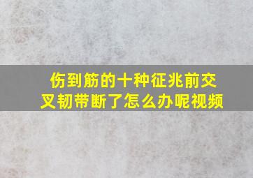 伤到筋的十种征兆前交叉韧带断了怎么办呢视频