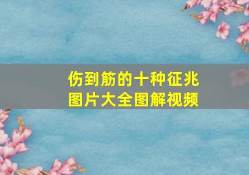 伤到筋的十种征兆图片大全图解视频