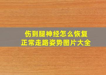 伤到腿神经怎么恢复正常走路姿势图片大全