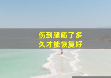 伤到腿筋了多久才能恢复好